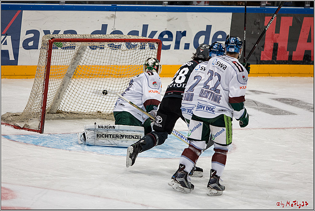 DEL, Koelner Haie - Augsburger Panther, 13.01.2017